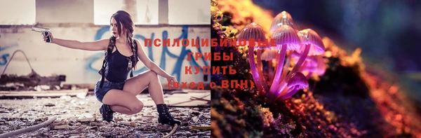 мяу мяу мука Армянск