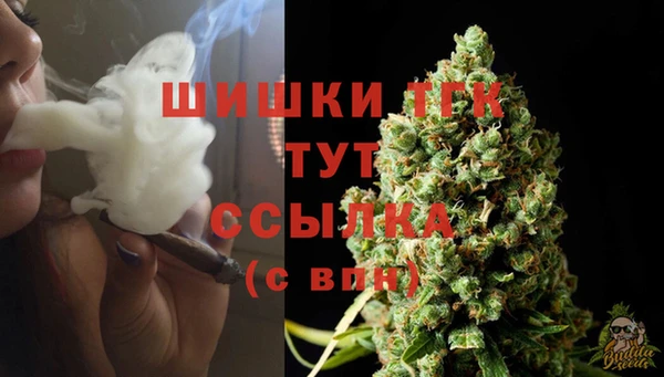 соль ск Аркадак