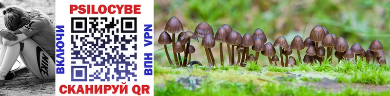 Псилоцибиновые грибы Cubensis Нефтегорск